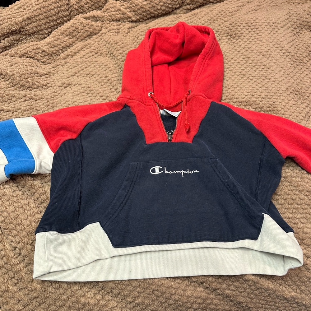 Champion Colorblock Cropped Hoodie